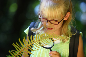 Summer Camps Keep Kids Learning  