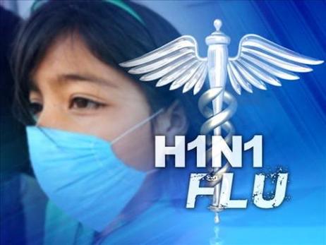 How Well is Your School Prepared to Handle the H1N1? How Well is Your School Prepared to Handle the H1N1?