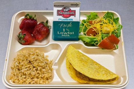 How Much E. Coli is in Public School Lunches? How Much E. Coli is in Public School Lunches?