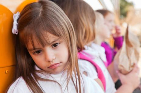 More than Academics: How Well Public Schools Provide Emotional Support More than Academics: How Well Public Schools Provide Emotional Support