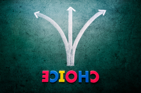 All the Options in Public Schooling in the 21st Century All the Options in Public Schooling in the 21st Century