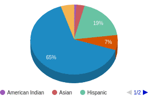This chart display the percentage breakdown of public school students of all ethnic groups in KS. This chart display the percentage breakdown of public school students of all ethnic groups in KS.