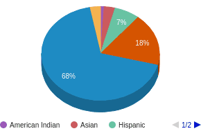 This chart display the percentage breakdown of public school students of all ethnic groups in MI. This chart display the percentage breakdown of public school students of all ethnic groups in MI.
