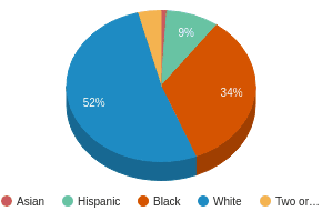 This chart display the percentage breakdown of public school students of all ethnic groups in SC. This chart display the percentage breakdown of public school students of all ethnic groups in SC.