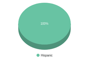 This chart display the percentage breakdown of public school students of all ethnic groups in PR. This chart display the percentage breakdown of public school students of all ethnic groups in PR.