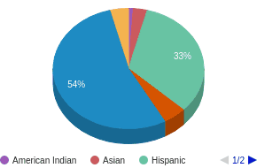This chart display the percentage breakdown of public school students of all ethnic groups in CO. This chart display the percentage breakdown of public school students of all ethnic groups in CO.