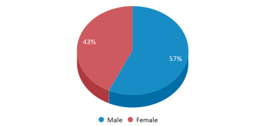 This chart displays gender of R L Brown Gifted And Talented Academy This chart displays gender of R L Brown Gifted And Talented Academy