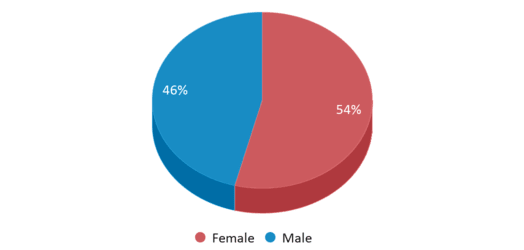 This pie chart depicts the gender distribution at Davis Academy For Arts & Design Innovation. This pie chart depicts the gender distribution at Davis Academy For Arts & Design Innovation.