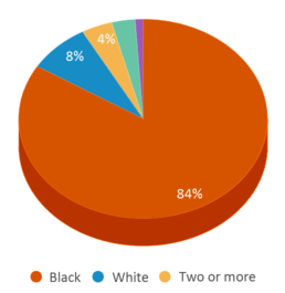 This chart displays the percentage breakdown of students of all ethnic groups in R L Brown Gifted And Talented Academy. This chart displays the percentage breakdown of students of all ethnic groups in R L Brown Gifted And Talented Academy.