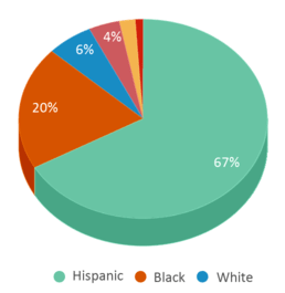This chart displays the percentage breakdown of students of all ethnic groups in Harvey Milk High School. This chart displays the percentage breakdown of students of all ethnic groups in Harvey Milk High School.
