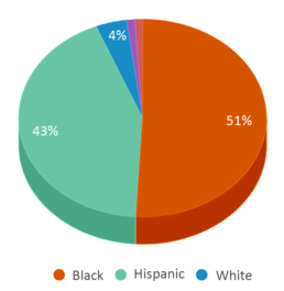 This chart displays the percentage breakdown of students of all ethnic groups in P.S. 162. This chart displays the percentage breakdown of students of all ethnic groups in P.S. 162.