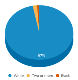 This chart displays the percentage breakdown of students of all ethnic groups in Carmichaels Area El Center. This chart displays the percentage breakdown of students of all ethnic groups in Carmichaels Area El Center.