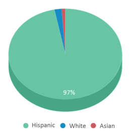 This chart displays the percentage breakdown of students of all ethnic groups in Piru Elementary School. This chart displays the percentage breakdown of students of all ethnic groups in Piru Elementary School.
