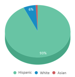 This chart displays the percentage breakdown of students of all ethnic groups in San Cayetano Elementary School. This chart displays the percentage breakdown of students of all ethnic groups in San Cayetano Elementary School.