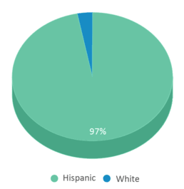 This chart displays the percentage breakdown of students of all ethnic groups in Sierra High School. This chart displays the percentage breakdown of students of all ethnic groups in Sierra High School.