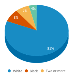 This chart displays the percentage breakdown of students of all ethnic groups in Mathews Elementary School. This chart displays the percentage breakdown of students of all ethnic groups in Mathews Elementary School.