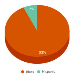 This chart displays the percentage breakdown of students of all ethnic groups in John A. Reisenbach Charter School. This chart displays the percentage breakdown of students of all ethnic groups in John A. Reisenbach Charter School.