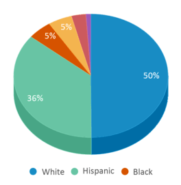 This chart displays the percentage breakdown of public school students of all ethnic groups in Colorado. This chart displays the percentage breakdown of public school students of all ethnic groups in Colorado.
