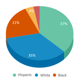 This chart displays the percentage breakdown of public school students of all ethnic groups in Florida. This chart displays the percentage breakdown of public school students of all ethnic groups in Florida.