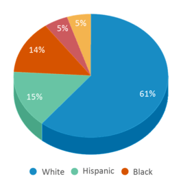 This chart displays the percentage breakdown of public school students of all ethnic groups in Pennsylvania. This chart displays the percentage breakdown of public school students of all ethnic groups in Pennsylvania.