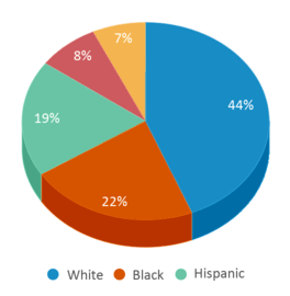 This chart displays the percentage breakdown of public school students of all ethnic groups in Virginia. This chart displays the percentage breakdown of public school students of all ethnic groups in Virginia.