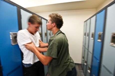 Public Schools and Bullying: The Issues and the Solutions Public Schools and Bullying: The Issues and the Solutions