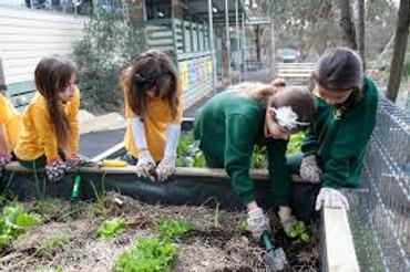 Public School Gardens: Good for Learning or a Waste of Time?