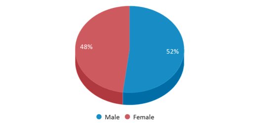 This chart displays gender of Castle View High School