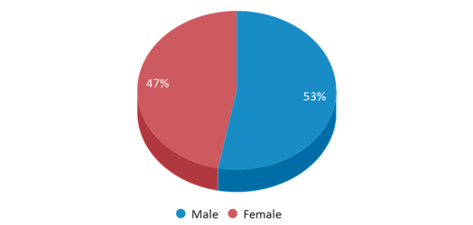 This chart displays gender of Nation Ford High School