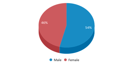 This chart displays gender of Evansville High School