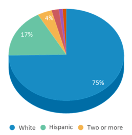 This chart displays the percentage breakdown of students of all ethnic groups in Castle View High School.