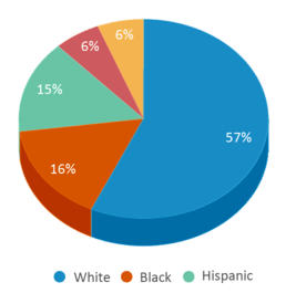 This chart displays the percentage breakdown of students of all ethnic groups in Nation Ford High School.