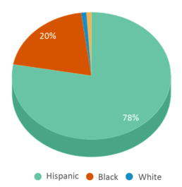 About West Homestead  Schools, Demographics, Things to Do 