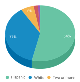 This chart displays the percentage breakdown of students of all ethnic groups in North Marion Primary School.