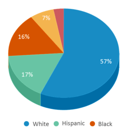 This chart displays the percentage breakdown of students of all ethnic groups in Ooltewah High School.