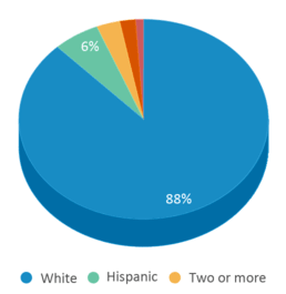 This chart displays the percentage breakdown of students of all ethnic groups in Evansville High School.