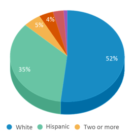 This chart displays the percentage breakdown of public school students of all ethnic groups in Colorado.