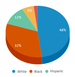 This chart displays the percentage breakdown of public school students of all ethnic groups in South Carolina.