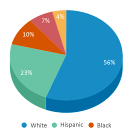 This chart displays the percentage breakdown of public school students of all ethnic groups in Massachusetts.