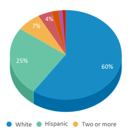 This chart displays the percentage breakdown of public school students of all ethnic groups in Oregon.