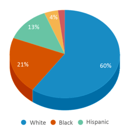 This chart displays the percentage breakdown of public school students of all ethnic groups in Tennessee.