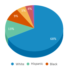 This chart displays the percentage breakdown of public school students of all ethnic groups in Wisconsin.