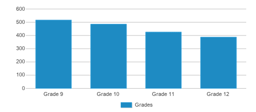 This chart displays the students of Nation Ford High School by grade.