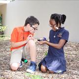 Suncoast School For Innovative Studies Photo #3 - Exploration of nature's resources is one way that students can connect with science, math and art. SSIS embraces the Multiple Intelligences to encourage students to make connections and think critically.