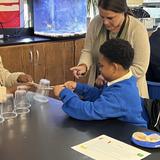 Middle School 35 Stephen Decatur Photo #7 - Cup Challenge anyone?
